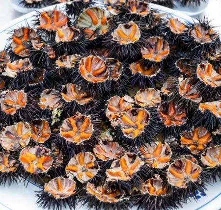 Dolce Bari